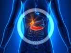 Gallstones: Causes, symptoms, diagnosis, stages, treatment and prevention (File Photo) Gallstones: Causes, symptoms, diagnosis, stages, treatment and prevention (File Photo)