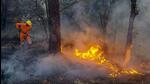 An NDRF personnel tries to control a fire that broke out in the forest of Pauri Garhwal district on May 14. (PTI) An NDRF personnel tries to control a fire that broke out in the forest of Pauri Garhwal district on May 14. (PTI)