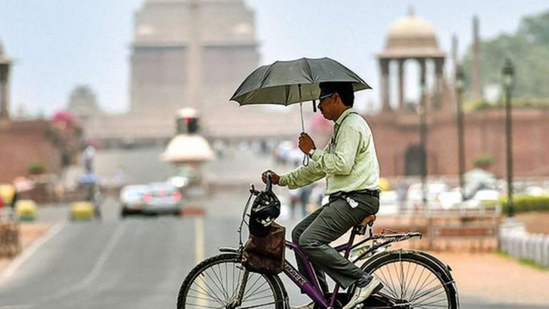 In extreme heat conditions, there is a very high likelihood of heat illness and heat stroke for people of all ages, the IMD’s health warning associated with the red category said.(PTI)