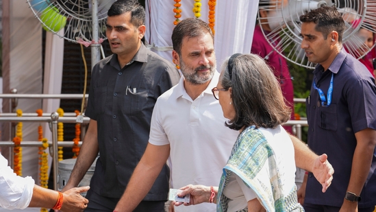 "In the first five phases of voting, you have rejected lies, hatred and propaganda and given priority to grassroots issues related to your life," Gandhi said in a post in Hindi on X.(PTI)