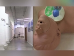 Cryonics is the practice of deep-freezing corpses of those who have died of an incurable disease until a future medical technology restores them to full health Cryonics is the practice of deep-freezing corpses of those who have died of an incurable disease until a future medical technology restores them to full health
