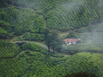 munnar munnar