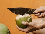 coconut4 coconut4