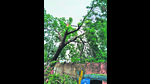 A team of fire brigade officials cleared the debris within a couple of hours, said officials. (HT PHOTO) A team of fire brigade officials cleared the debris within a couple of hours, said officials. (HT PHOTO)