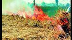 About 20 million tonnes of paddy straw is generated in the paddy harvest season. About 20 million tonnes of paddy straw is generated in the paddy harvest season.