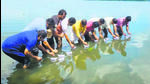 Copies of the circular issued by the church were burnt, thrown into the trash bin and drowned in the water by devotees. (HT Photo) Copies of the circular issued by the church were burnt, thrown into the trash bin and drowned in the water by devotees. (HT Photo)