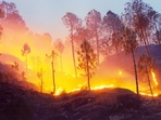 According to state officials, 11 people have died in Uttarakhand forest fires that have ravaged at least 1,747 ha of land this year.(File) According to state officials, 11 people have died in Uttarakhand forest fires that have ravaged at least 1,747 ha of land this year.(File)