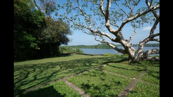 “In Bawa’s Lunuganga, we have a magnificent garden believed to be one of the best of the 20th century.” (© Geoffrey Bawa and Lunuganga Trusts) “In Bawa’s Lunuganga, we have a magnificent garden believed to be one of the best of the 20th century.” (© Geoffrey Bawa and Lunuganga Trusts)