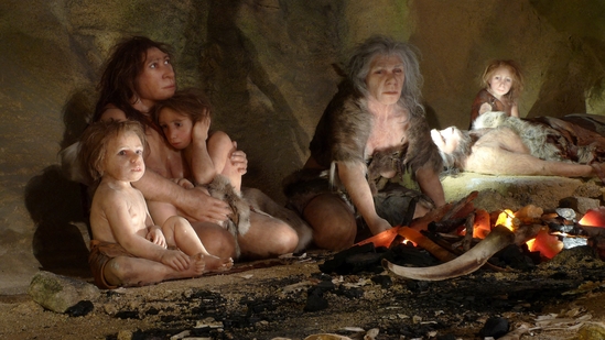 An exhibit shows the life of a Neanderthal family in a cave in the new Neanderthal Museum (Representational image). (Reuters)