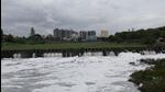 A case was registered with the NGT in 2020 regarding environmental violations, land use conversions, and the responsibility for environmental damage. (HT FILE PHOTO) A case was registered with the NGT in 2020 regarding environmental violations, land use conversions, and the responsibility for environmental damage. (HT FILE PHOTO)