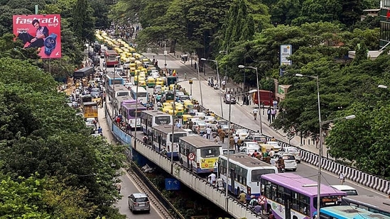 The man explained that living in Bengaluru can be lonely. The man explained that living in Bengaluru can be lonely.