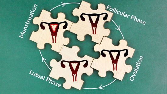 The follicular phase is the first half of the menstrual cycle, leading up to ovulation. The follicular phase is the first half of the menstrual cycle, leading up to ovulation.
