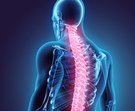 Back pain is recognised by WHO as the most common cause of disability globally. Back pain is recognised by WHO as the most common cause of disability globally.
