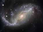 Universe (Pexels (Representative Photo)) Universe (Pexels (Representative Photo))