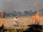 A farmer burns crop stubble in Punjab. (HT Photo) A farmer burns crop stubble in Punjab. (HT Photo)