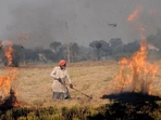 A farmer burns crop stubble in Punjab. Every year, farm fires cause air pollution in Delhi during winters. (HT Photo) A farmer burns crop stubble in Punjab. Every year, farm fires cause air pollution in Delhi during winters. (HT Photo)