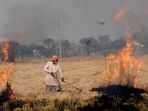 A farmer burns crop stubble in Punjab. Every year, farm fires cause air pollution in Delhi during winters. Delhi environment minister Gopal Rai will make a bio-decomposer solution that turns stubble into manure to prevent farmers from burning it. (HT Photo)(HT file) A farmer burns crop stubble in Punjab. Every year, farm fires cause air pollution in Delhi during winters. Delhi environment minister Gopal Rai will make a bio-decomposer solution that turns stubble into manure to prevent farmers from burning it. (HT Photo)(HT file)