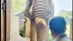 Union minister of state Kirti Vardhan Singh and Shankar the elephant. (HT Photo) Union minister of state Kirti Vardhan Singh and Shankar the elephant. (HT Photo)