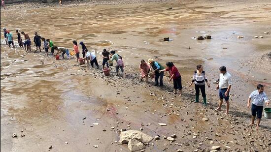 Local residents during a drive to rescue fish from the drying water body. (HT ) Local residents during a drive to rescue fish from the drying water body. (HT )