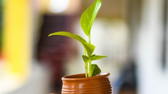 Green energy (Pixabay) Green energy (Pixabay)