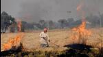 Authorities emphasised that strict monitoring to prevent activities such as stubble and waste fires significantly helps against the deteriorating air quality in the region. (HT Photo) Authorities emphasised that strict monitoring to prevent activities such as stubble and waste fires significantly helps against the deteriorating air quality in the region. (HT Photo)