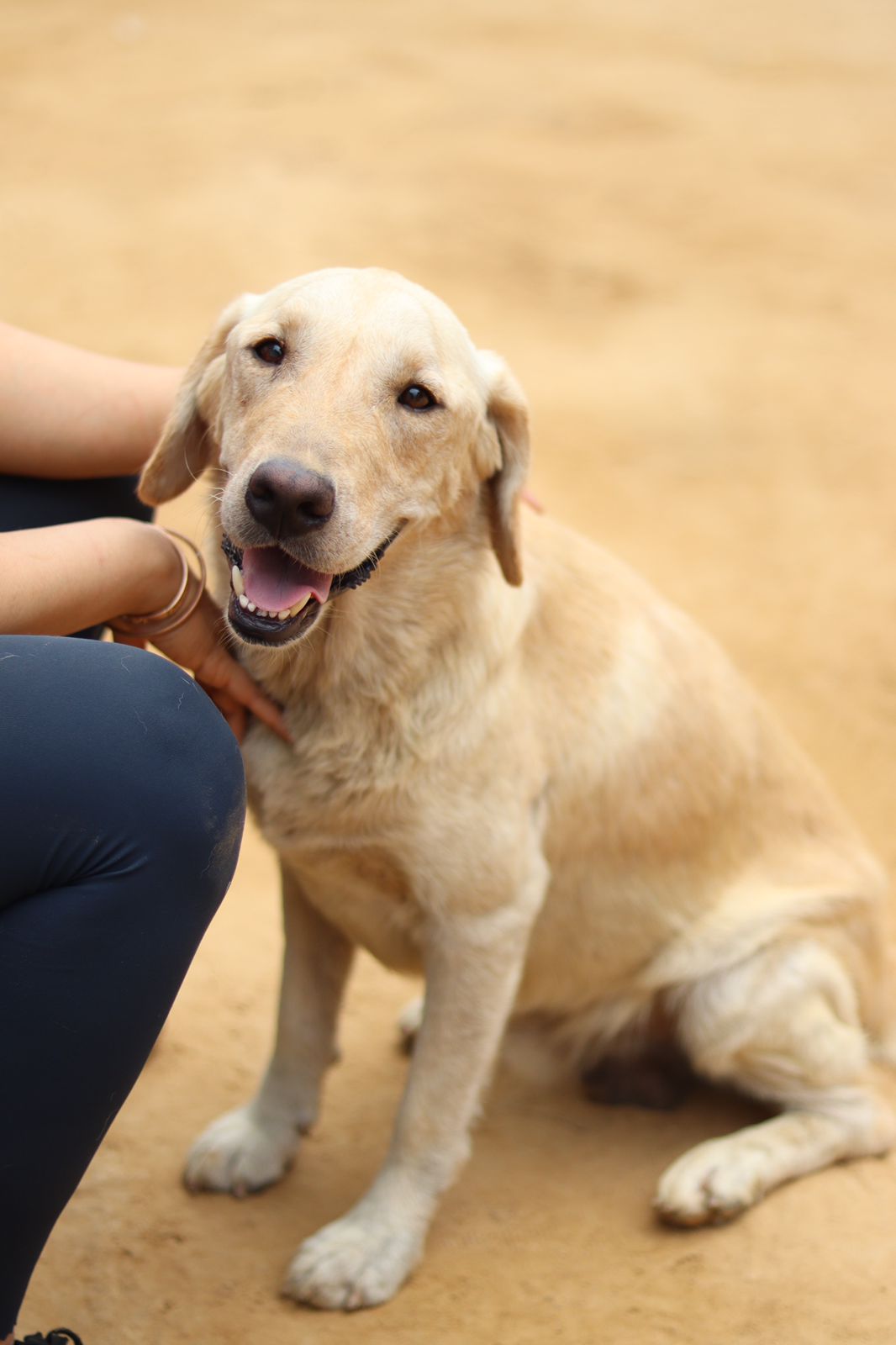 Dhakkan is gently and loving yet extremely energetic. Dhakkan is gently and loving yet extremely energetic.