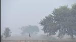 A man walks through a farmland on a hazy Monday in Ghaziabad. (Sakib Ali/ HT Photo) A man walks through a farmland on a hazy Monday in Ghaziabad. (Sakib Ali/ HT Photo)