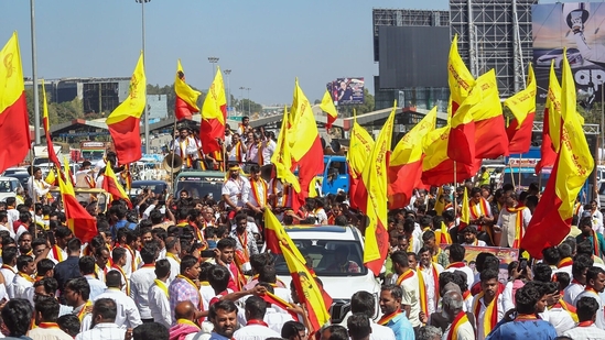 Rajyotsava celebrations are grand and colorful across the state.(PTI) Rajyotsava celebrations are grand and colorful across the state.(PTI)