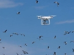 A drone used by technicians above the future site of a wind farm. (AFP) A drone used by technicians above the future site of a wind farm. (AFP)