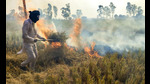 Amritsar: A farmer burns paddy stubble in a field, on the outskirts of Amritsar, Monday, Nov. 4, 2024. (PTI Photo) (PTI) Amritsar: A farmer burns paddy stubble in a field, on the outskirts of Amritsar, Monday, Nov. 4, 2024. (PTI Photo) (PTI)