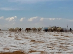 This is the 1st time Saudi Arabia's Al-Jawf saw snowfall This is the 1st time Saudi Arabia's Al-Jawf saw snowfall