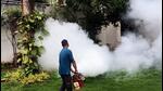 (Representative image) Of the 4,061 dengue cases in this year, 2,431 cases (59.86%) were reported in October alone (HT Archive) (Representative image) Of the 4,061 dengue cases in this year, 2,431 cases (59.86%) were reported in October alone (HT Archive)