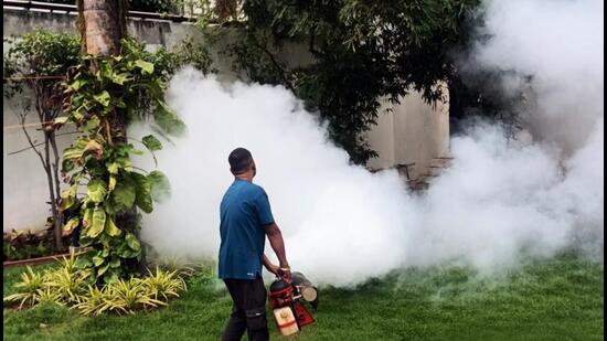(Representative image) Of the 4,061 dengue cases in this year, 2,431 cases (59.86%) were reported in October alone (HT Archive) (Representative image) Of the 4,061 dengue cases in this year, 2,431 cases (59.86%) were reported in October alone (HT Archive)