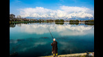 A view of the Dal Lake in Srinagar in February 2024. (Waseem Andrabi /Hindustan Times) A view of the Dal Lake in Srinagar in February 2024. (Waseem Andrabi /Hindustan Times)