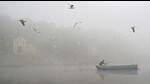 A man rows a boat in the Yamuna engulfed in smog in New Delhi on November 14. (AFP) A man rows a boat in the Yamuna engulfed in smog in New Delhi on November 14. (AFP)