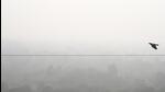 Dense fog has exacerbated air pollution levels in Delhi-NCR. (Sunil Ghosh/HT Photo) Dense fog has exacerbated air pollution levels in Delhi-NCR. (Sunil Ghosh/HT Photo)