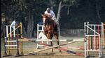 A training exercise underway at the stables in Old Police Lines. (Ajay Aggarwal/HT Photo) A training exercise underway at the stables in Old Police Lines. (Ajay Aggarwal/HT Photo)