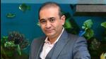 In Nirav Modi’s case, his extradition was ordered by Westminster’s court in February 2021, after which he lost a case on this in the high court of justice in London. (Mint Archive) In Nirav Modi’s case, his extradition was ordered by Westminster’s court in February 2021, after which he lost a case on this in the high court of justice in London. (Mint Archive)