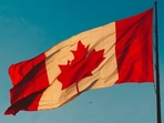 Here's what you need to know about Canada's 24-hours per week work policy for international students. Check eligibility and other important points to remember. (Photo credit: Unsplash) Here's what you need to know about Canada's 24-hours per week work policy for international students. Check eligibility and other important points to remember. (Photo credit: Unsplash)