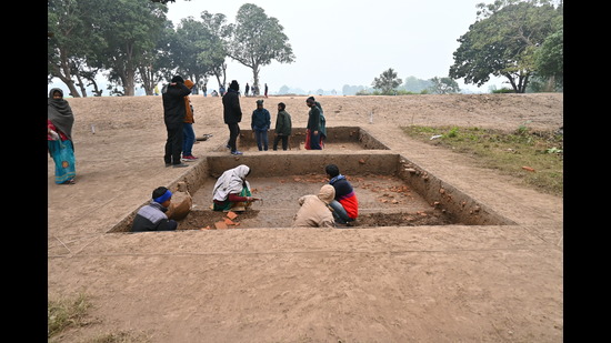 The site of excavation at Banarsiha Kala in Maharajganj showing remains of the Kushana, Sunga and Maurya periods. (HT) The site of excavation at Banarsiha Kala in Maharajganj showing remains of the Kushana, Sunga and Maurya periods. (HT)