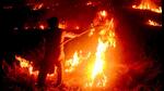 Officials blamed a shift to paddy from mustard and soybean cultivation for the spike in farm fires in Madhya Pradesh. (ANI/Representative) Officials blamed a shift to paddy from mustard and soybean cultivation for the spike in farm fires in Madhya Pradesh. (ANI/Representative)