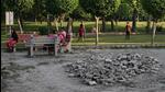 A view of Smriti Van, where the pond is located. (HT Archive) A view of Smriti Van, where the pond is located. (HT Archive)