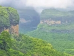 India framed its first biodiversity action plan as a national policy in 1999. (HT file photo) India framed its first biodiversity action plan as a national policy in 1999. (HT file photo)