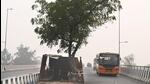 One of the trees in the middle of the carriageway of the flyover between Anand Vihar and Dilshad Garden in New Delhi on Monday. (Arvind Yadav/HT Photo) One of the trees in the middle of the carriageway of the flyover between Anand Vihar and Dilshad Garden in New Delhi on Monday. (Arvind Yadav/HT Photo)