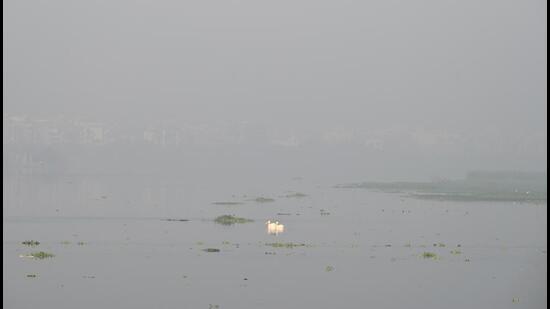 The most recent DSS update, from November 26 onwards, indicated that stubble burning contributed 5.84% to Delhi’s PM2.5 levels (Sunil Ghosh /HT PHOTO) The most recent DSS update, from November 26 onwards, indicated that stubble burning contributed 5.84% to Delhi’s PM2.5 levels (Sunil Ghosh /HT PHOTO)