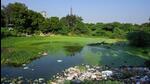 One of the ponds in Bisrakh block of Greater Noida. Residents have raised concerns about the health risks posed by the unhygienic environment, particularly with winter setting in, a time when respiratory illnesses usually spike. (HT Photo) One of the ponds in Bisrakh block of Greater Noida. Residents have raised concerns about the health risks posed by the unhygienic environment, particularly with winter setting in, a time when respiratory illnesses usually spike. (HT Photo)