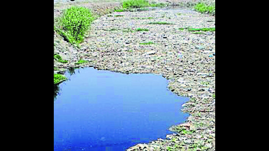 Activists have been protesting for action regarding the Buddha Nullah pollution. (HT file) Activists have been protesting for action regarding the Buddha Nullah pollution. (HT file)