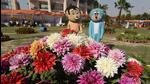 The flower show related suggestions can be sent to the authority’s horticulture department officials, Natholi Singh (director of horticulture) at 9205691109 or Pawan Kumar, the manager, on 8800300036. (HT Photo) The flower show related suggestions can be sent to the authority’s horticulture department officials, Natholi Singh (director of horticulture) at 9205691109 or Pawan Kumar, the manager, on 8800300036. (HT Photo)