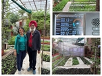Neeno Kaur and Peter Singh, residents of south Delhi's Sainik Farms, are the new social media favourites for practicing sustainable living and waste management. Neeno Kaur and Peter Singh, residents of south Delhi's Sainik Farms, are the new social media favourites for practicing sustainable living and waste management.