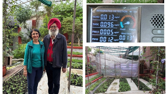 Neeno Kaur and Peter Singh, residents of south Delhi's Sainik Farms, are the new social media favourites for practicing sustainable living and waste management. Neeno Kaur and Peter Singh, residents of south Delhi's Sainik Farms, are the new social media favourites for practicing sustainable living and waste management.